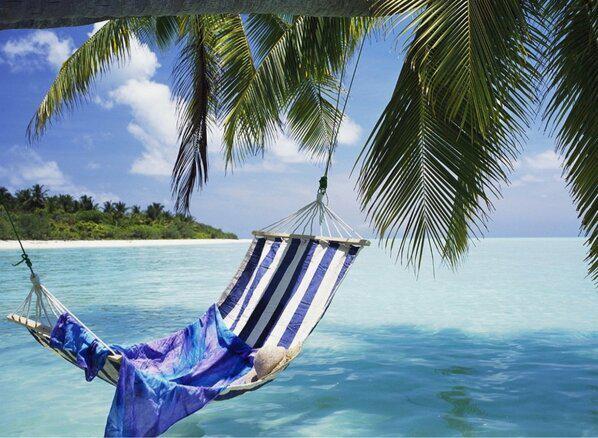 Necesito un día en esta hamaca de una playa del Caribe.