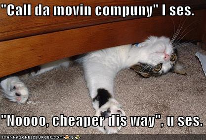 Gentle_Hands_Co's tweet photo. Don't let this be you!! Call the professionals today!! #DENVER #COLORADO #MOVING  #moversdenver #coloradorealty http://t.co/sP6Efrz3Zk