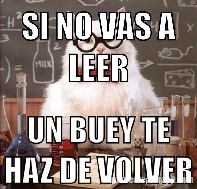 eddykuper94's tweet photo. #memeslectura equipo 2 http://t.co/1s5L3iC152