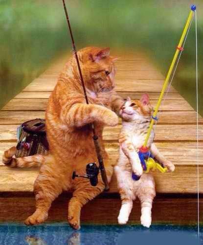 _conelalma's tweet photo. Hijo... Hoy no te daré pescado... Te enseñaré a pescar http://t.co/3MUK64e9VH