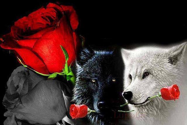 Воронина Яна (@vovenko2013) on Twitter photo 
