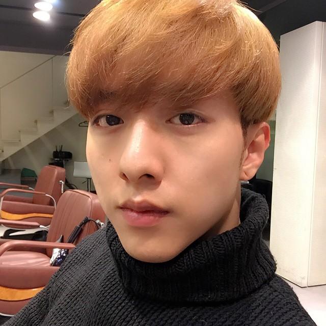 埋め込み画像への固定リンク