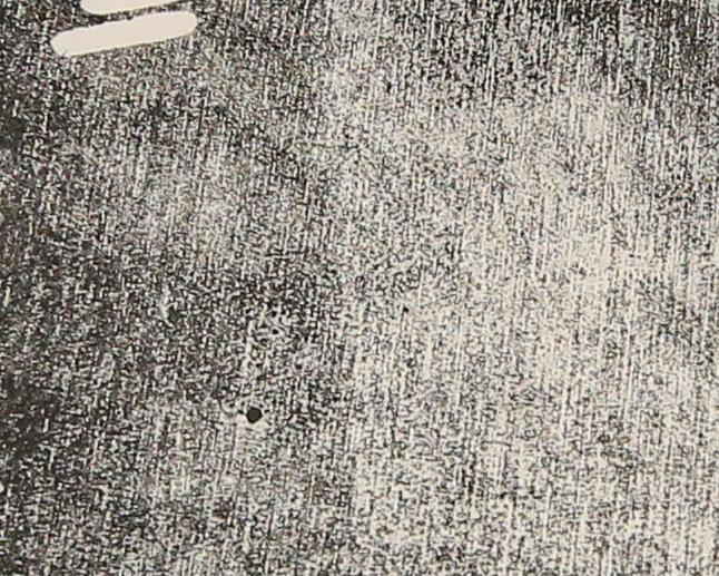 PrintRestraint's tweet image. Thanks to CFPR I've found that shellac actually doesn't affect the grain much, if at all! Shellac is on the right.