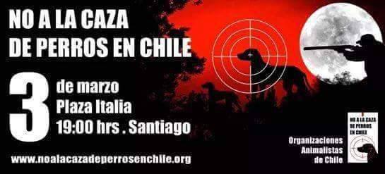 Ma_jose_fa's tweet photo. #educar #nocazar #NoALaCazaDePerrosEnChile http://t.co/cgQj9nYqtG