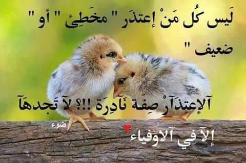 maged2237's tweet photo. http://t.co/0fYeI6zGmk