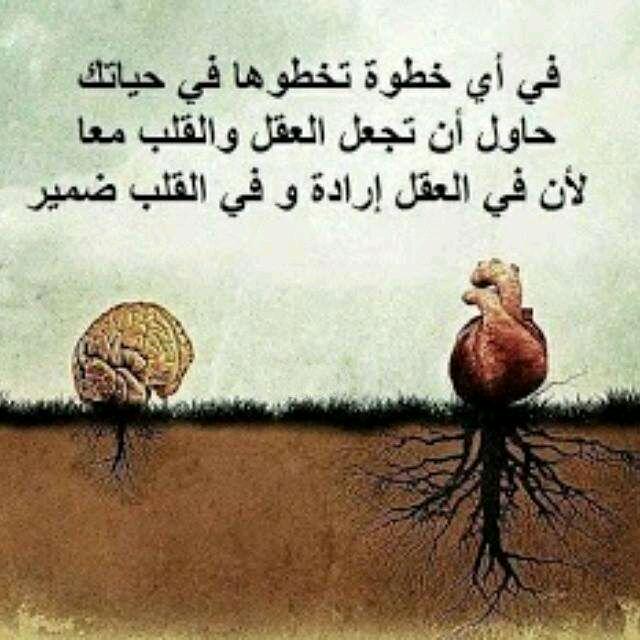 maged2237's tweet photo. http://t.co/xQEtlsBIqq
