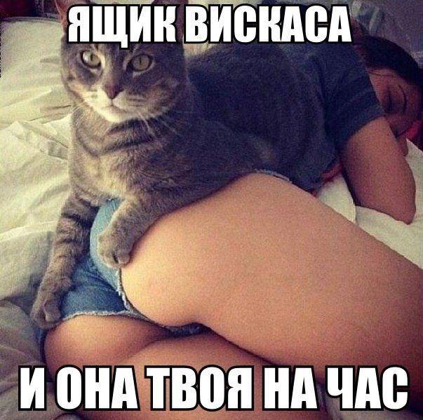 skellMon's tweet image. #правдажизни отличный ответ ясно. так держать,ребята..(во как)