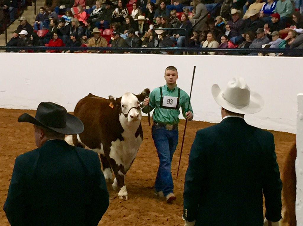 Tom Bean FFA looking good <a href="/fwssr/">FWSSR</a>!