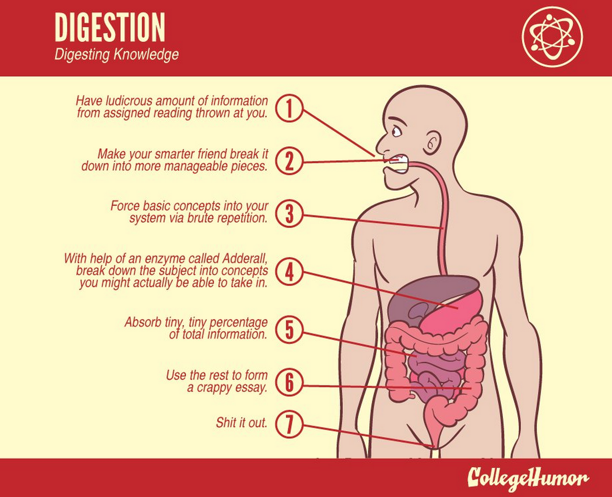 CH_Classics's tweet image. September 2013 - 5 Crucial Biology Lessons Every College Student Needs to Learn bit.ly/1ueXx6Z
