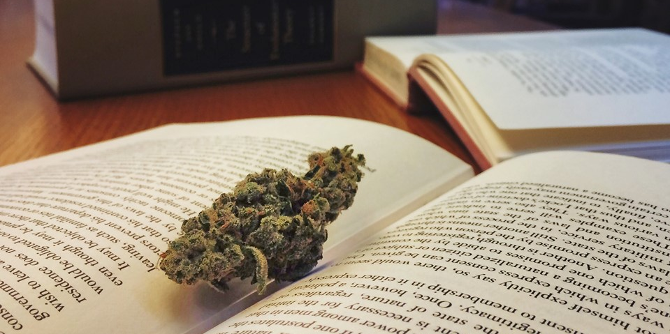 LGN_ID's tweet photo. More Studies Have Been Performed On Ganja Than Most Legal Medications Approved by The FDA. http://t.co/MjggS1Mzl7 http://t.co/Zw2vvLErhb