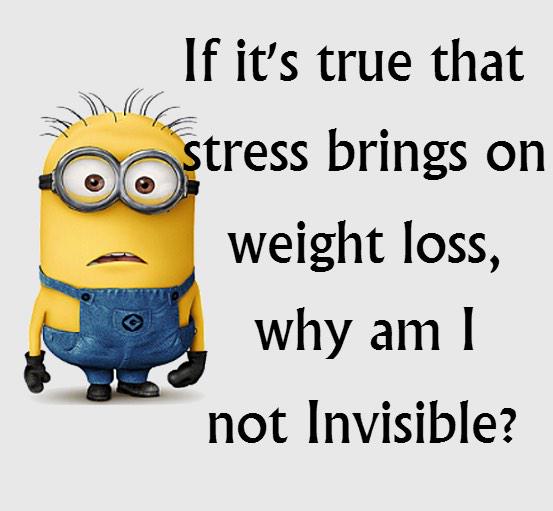 Mel Semple tweet media