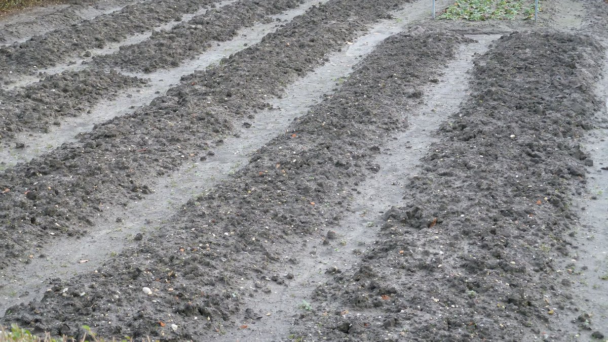 when2plant's tweet image. Start to sow indoors in february: Lettuce, Spinach, Cabbages, Beans &amp;amp; Peas for the optimal start of the season.