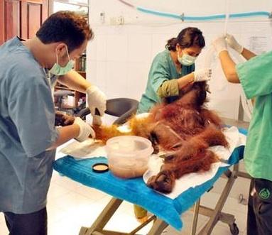 monde_biodi tweet picture