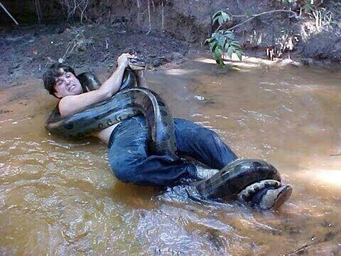- ¡Amor quiero zapatos con piel de anaconda!
- ¡Imposible!
- Si los conseguís te doy la cola y se suma una amiga! 
-