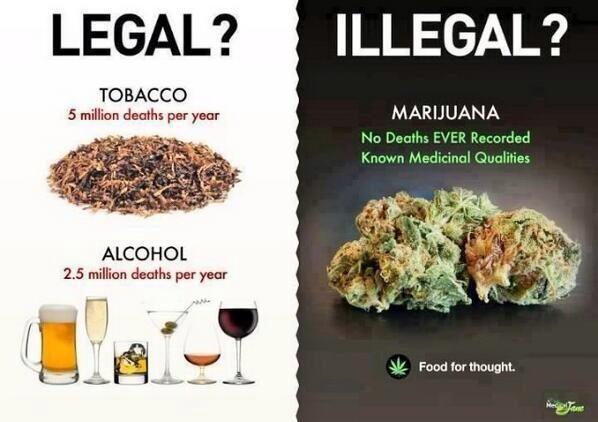GeniusPothead's tweet photo. Are these laws really 'protecting' our safety? http://t.co/Oo2Irk35Md