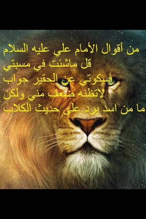 maged2237's tweet photo. http://t.co/Ho96wLcwZM