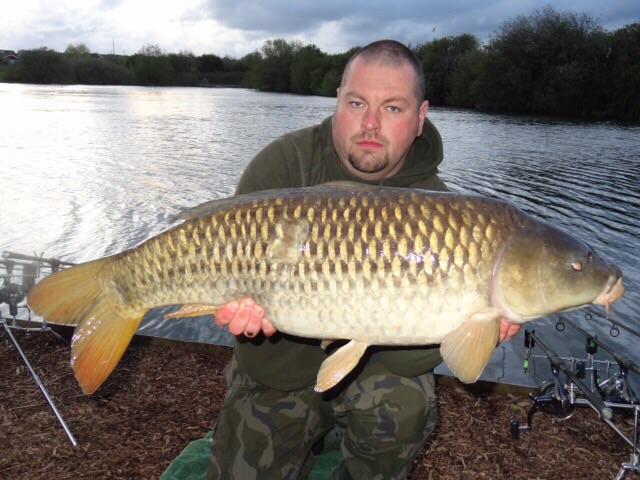 Klgz420's tweet photo. @Brickfieldclub here's few of the fish from last year #welshcarp http://t.co/whvDZqGBls
