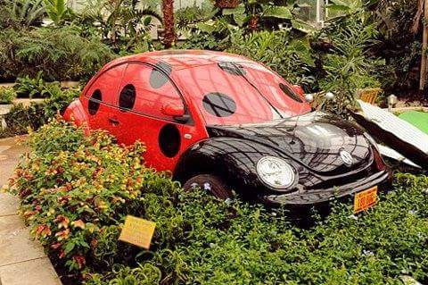 OhItsNutMeg's tweet image. @dinamanzo This makes me think of you. #ProjectLadybug