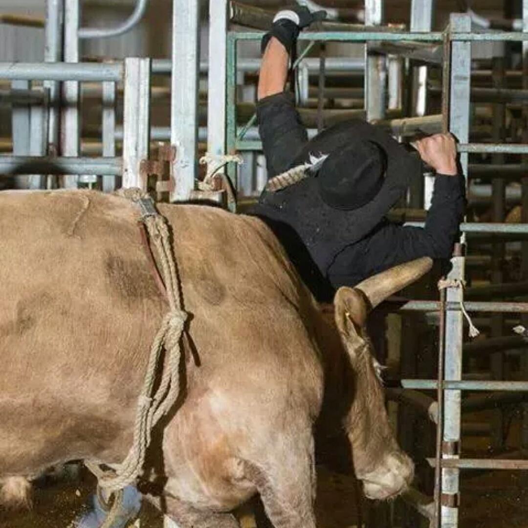 mstcawboy's tweet photo. Cowboy http://t.co/uIeFUHT9MR
