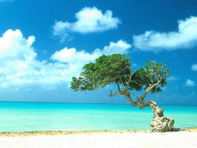 #HybridEnergy, #renewables+#energystorage,can significantly improve grid resiliency on islands goo.gl/UE7yCt