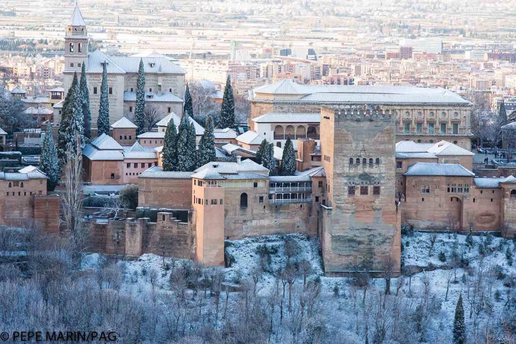 mfgranaina tweet picture