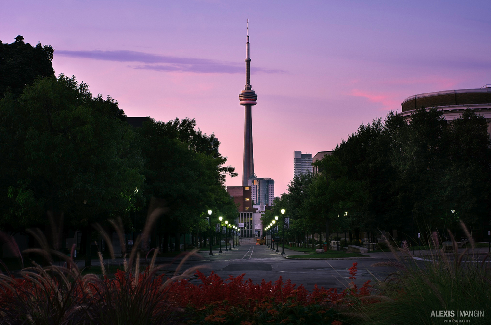 Boudreau_Ideas's tweet photo. Beautiful shot of the CN Tower at dusk by Alexis Mangin: http://t.co/SOuy1K1Fqj @CdnCitiesRU #Cities http://t.co/8MUTzU99W4