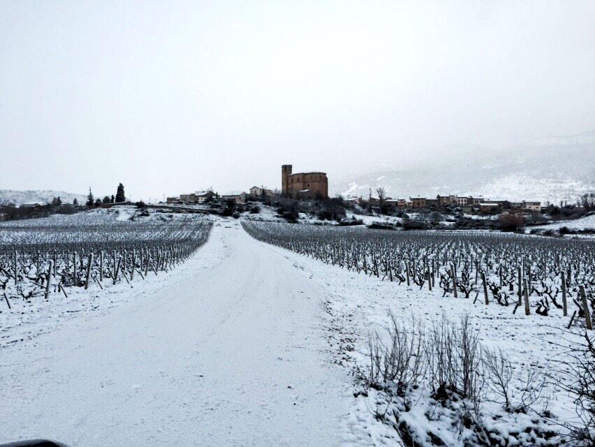 'Our vineyards after yesterdays snowstorm #whiteRioja'  RT @RemirezdeGanuza #wine