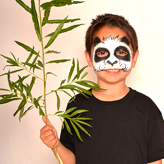 FatbeeParties's tweet image. SIete pronti per Carnevale? Da cosa vi travestirete?