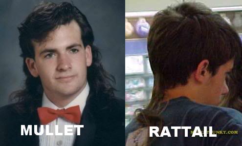 ElectricJasper's tweet image. Dearest tweeters, please help me choose my next hairdo.

RT for Mullet
Fav for Rat Tail