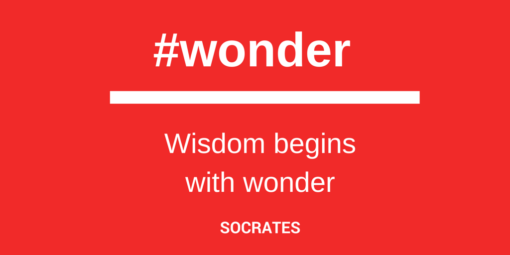 #wisdom #wonder #education