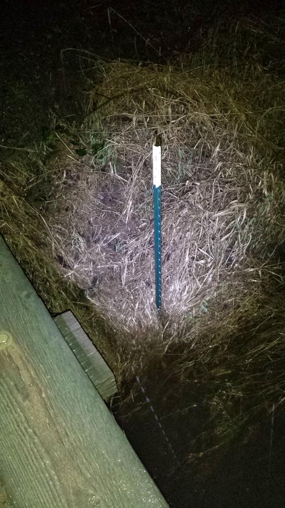 PFC_NightCheck tweet picture