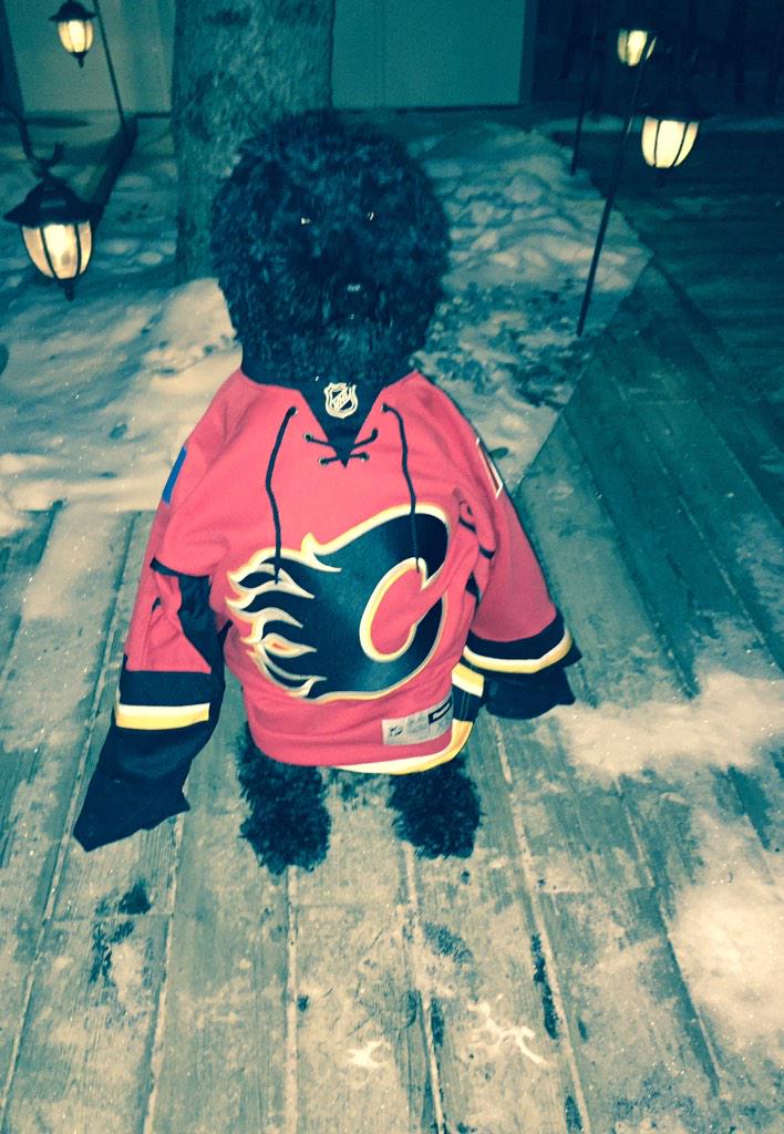 JCashWilson's tweet photo. DAD @WBrettWilson HELP Went out in #Calgary last night- they took #Preds jersey @NHLFlames #WearThisOrYouSleepOutside http://t.co/sKKOYwho0G