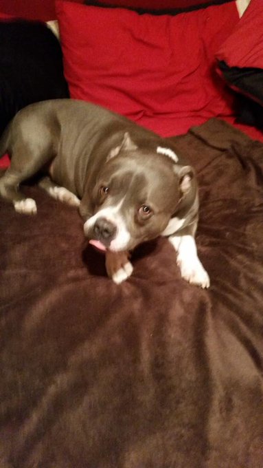 I want to do a shoot like this with my baby!! http://t.co/G0caueVf24<a href="/tag/mondaymotivation"class="tags"><span>#mondaymotivation</span></a><a href="/tag/zoeypaige"class="tags"><span>#zoeypaige</span></a><a href="/tag/noprop60"class="tags"><span>#noprop60</span></a><a href="/tag/oopso"class="tags"><span>#oopso</span></a>