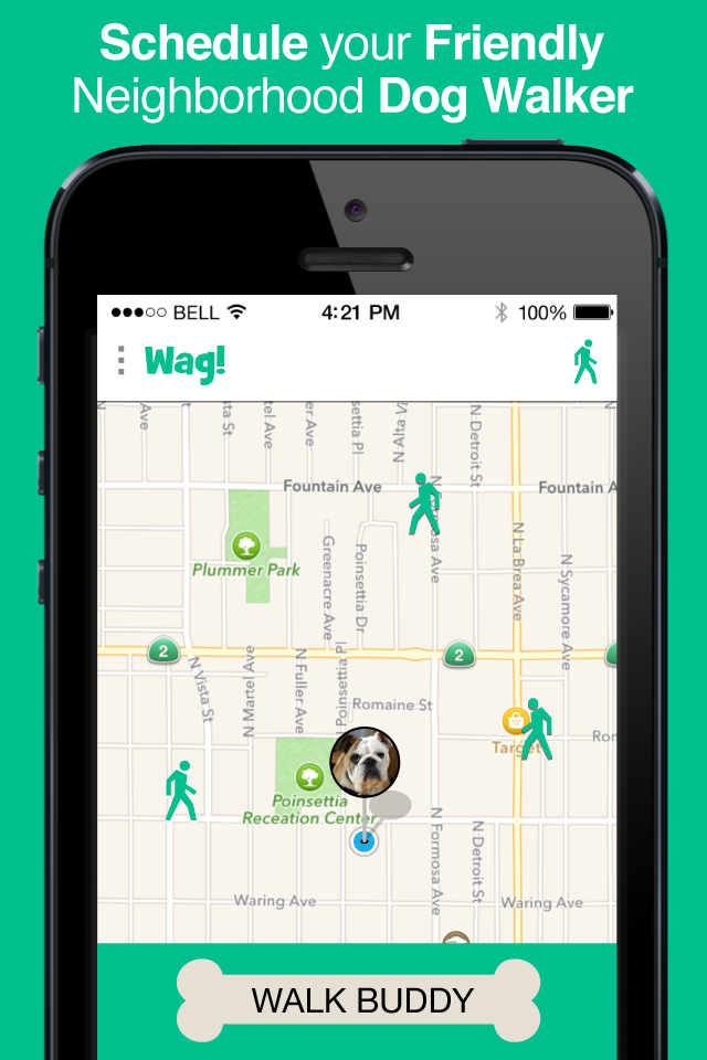 WagWalking's tweet photo. @misscocopuff Treat your dog to a free dog walk. Use promo code ilovewag to get a #freedogwalk #free #wagapp http://t.co/12qx5RlE82