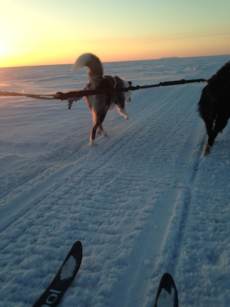 KigEnduroCo's tweet photo. “@kigrunner: Renewable and sustainable arctic transportation. @KigEnduroCo @patagonia http://t.co/JuGDJmtqQO” #DirtBag #life #Alaska