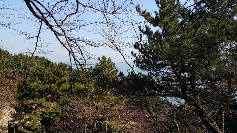 pinky119's tweet photo. 좋구나~~~ (@ 달맞이고개 in 부산광역시) https://t.co/ZC1HqAToSH http://t.co/3YWxsquwlp