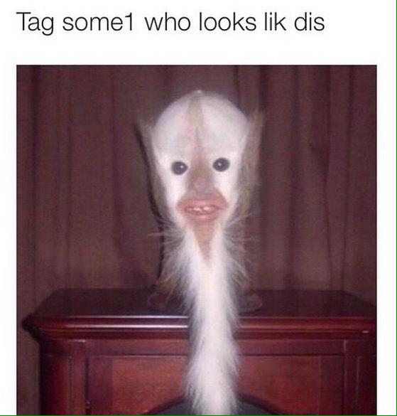 bo (@psychctic) on Twitter photo 