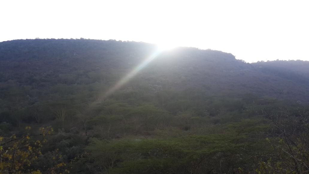 AmpherApidi's tweet photo. Beautiful sunrise at the Nakuru national park. http://t.co/YCDcLwlHLe