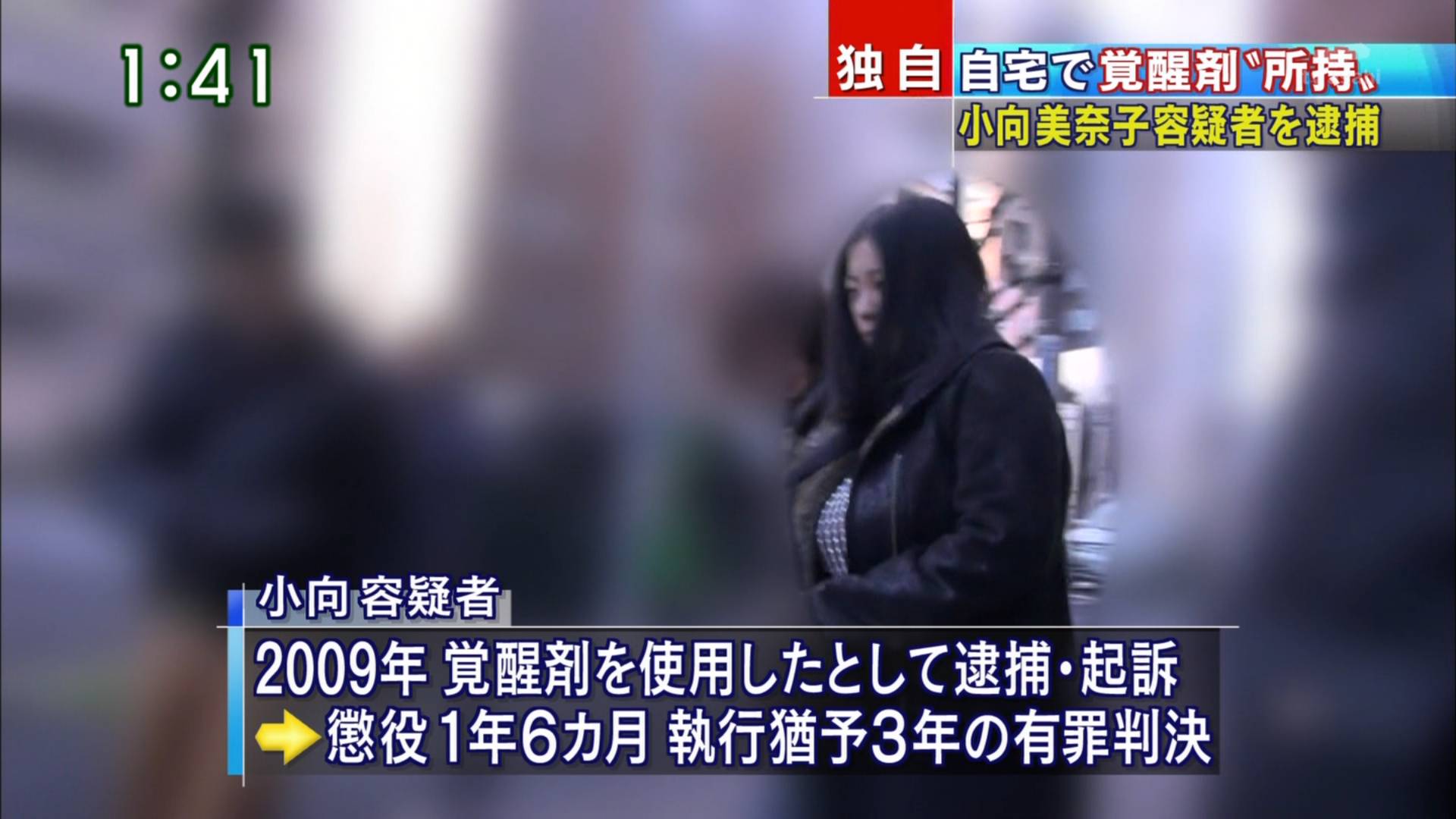 活動歴および当時の関連ビジュアル記録