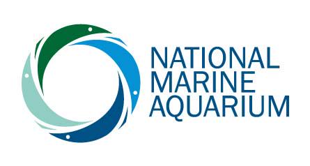NMAPlymouth's tweet photo. Love Marketing? Fancy working @NMAPlymouth ?     https://t.co/l7p2CnIJK9 @britainsocean @PlymBarbican @ExperienceSH http://t.co/AS132rNMaZ