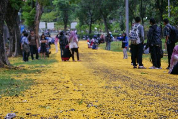 Mimin mau nyapa <a href="/officialsmavo/">SMAN 2 CIBINONG</a> dari kota Solo nih!
Udah pada siap belum buat <a href="/JelajahKampus15/">j o e</a> bsok?