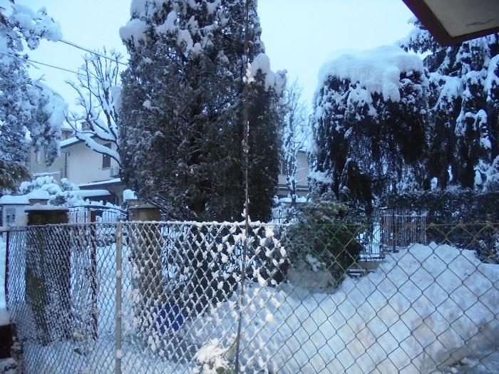 SerenaArbizzi's tweet photo. E a #carpi la neve arrivò: 40 cm #NeveModena #NeveMo #Neve #Modena http://t.co/aEBoRX3XWc