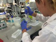 SarahCMaunsell's tweet photo. Finally, and very excitedly, delving into the world of genetics. #barcoding #plants and #insects http://t.co/8yq4QefHqJ