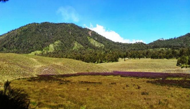VIVAcoid's tweet photo. RT @VIVA_log: Menikmati Hamparan Savana Oro-oro Ombo http://t.co/EU2YE1U4ha http://t.co/TCEWFEmupR