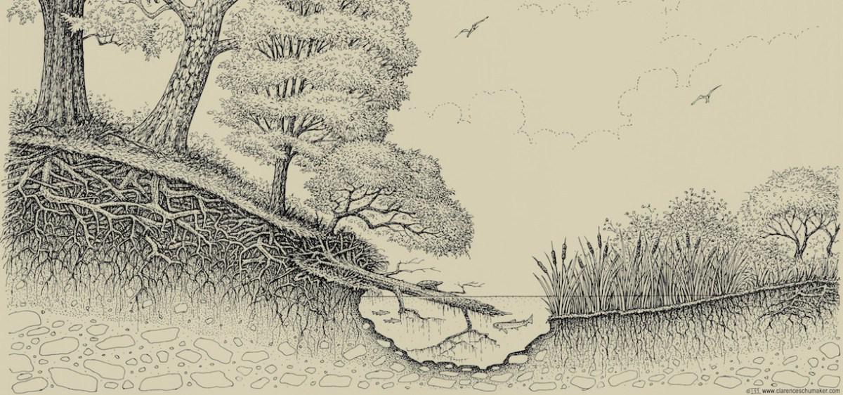 @RiparianRooms is open on East London Street. Report <a href="/5pm/">5pm.co.uk</a> blog. bit.ly/1A6pRKY