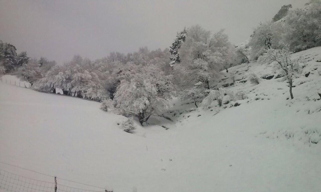 #Lagorriga ere zuriz jantzita. Ederra benetan!! <a href="/lagorriga/">lagorriga</a>-ren bidez #UdaberriaBadator #Trapagaran #Elurra #Arboleda