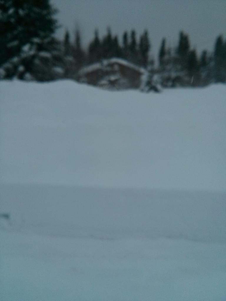 michaelawebb13's tweet image. Do you want to build a Snow man #westcoastthebestcoast #pynn&apos;s brook @EddieSheerr  #nlwx  #snowday @weathernetwork