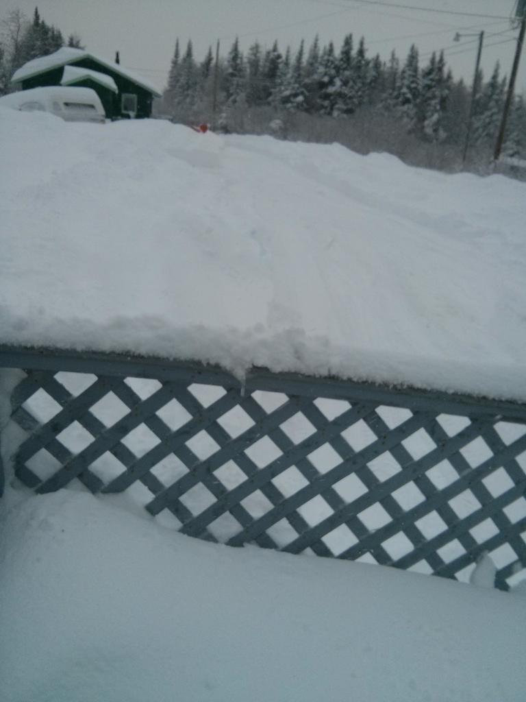 michaelawebb13's tweet image. Do you want to build a Snow man #westcoastthebestcoast #pynn&apos;s brook @EddieSheerr  #nlwx  #snowday @weathernetwork