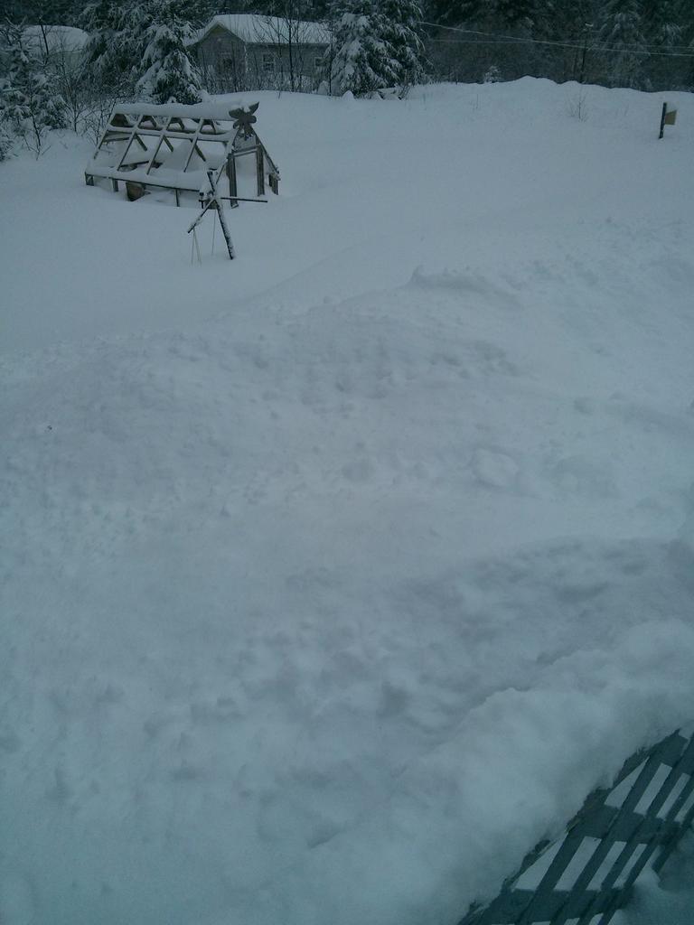 michaelawebb13's tweet image. Do you want to build a Snow man #westcoastthebestcoast #pynn&apos;s brook @EddieSheerr  #nlwx  #snowday @weathernetwork