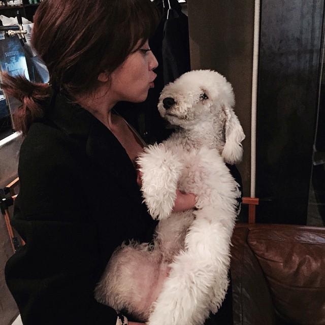 B9KDvKACUAAZWYi.jpg:large